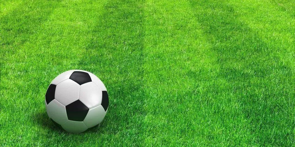 数据分析师使用球探比分